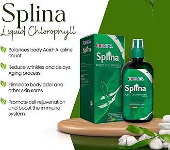 EDMARK SPLINA SOUP